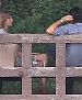 Filename=108.jpg
Filesize=759KiB
Dimensions=2000x1330
Date added=Jul 24, 2014 108.jpg