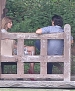 Filename=109.jpg
Filesize=752KiB
Dimensions=2000x1330
Date added=Jul 24, 2014 109.jpg