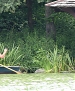 Filename=193.jpg
Filesize=933KiB
Dimensions=2005x1171
Date added=Jul 24, 2014 193.jpg