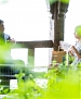 Filename=227.jpg
Filesize=898KiB
Dimensions=3000x2000
Date added=Jul 24, 2014 227.jpg