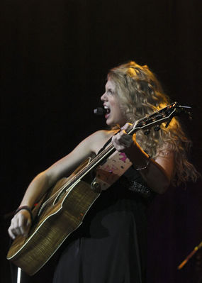 taylorweb07.jpg