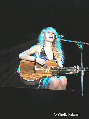 taylorweb07.jpg