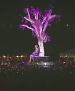 Filename=165.jpg
Filesize=81KiB
Dimensions=640x360
Date added=Aug 10, 2011 165.jpg