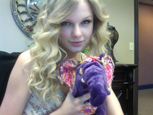 taylorweb02.jpg