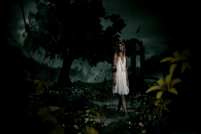 taylorweb_mkv_000250458.jpg