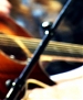 Filename=3090.jpg
Filesize=197KiB
Dimensions=854x480
Date added=Dec 06, 2011 3090.jpg